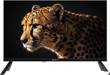 Телевизор Topdevice 24\
