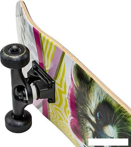 Скейтборд Plank Raccoon P22-SKATE-PACCON