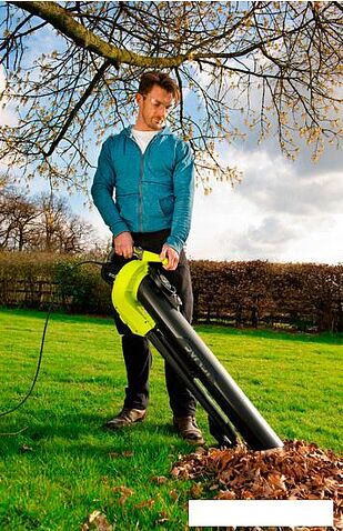 Воздуходувка Ryobi RBV3000CESV