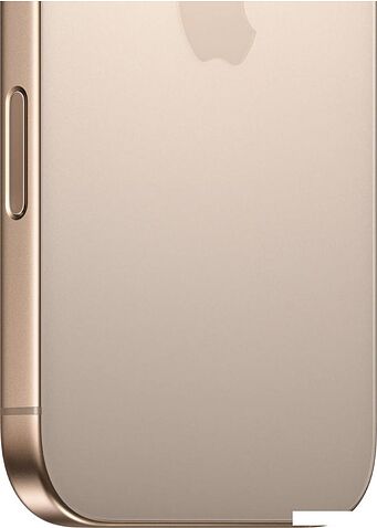 Смартфон Apple iPhone 16 Pro Dual SIM 256GB (пустынный титан)