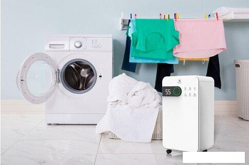 Осушитель воздуха Royal Clima Pacific Studio RD-PC12-EW