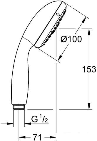 Душевая лейка Grohe New Tempesta 100 28578002
