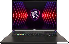 Игровой ноутбук MSI Vector 17 HX A14VIG-899RU Игровой ноутбук MSI Vector 17 HX A14VIG-899RU