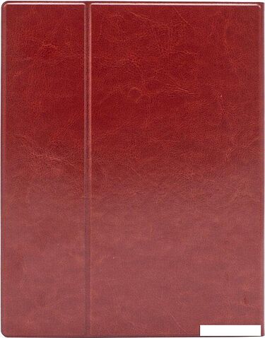 Электронная книга Onyx BOOX Lomonosov 3