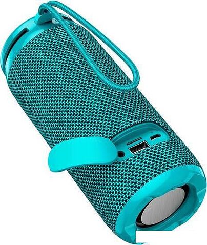 Беспроводная колонка Borofone BR24 (бирюзовый)