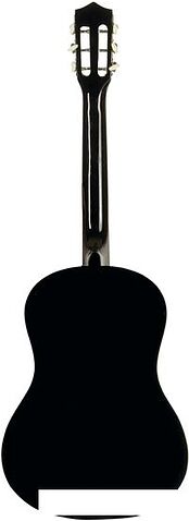 Акустическая гитара Belucci BC3805 BK