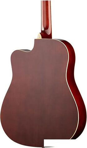 Акустическая гитара Naranda DG120CWRS