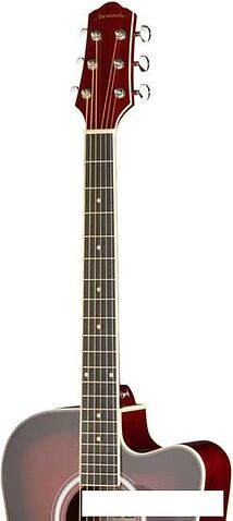 Акустическая гитара Naranda DG220CWRS