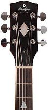 Электрогитара Prodipe GS300 Wine Red