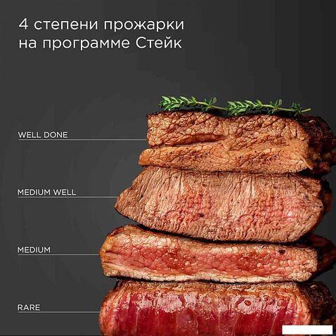 Электрогриль Redmond (Редмонд) SteakMaster GM303 (серый)