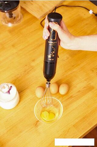 Погружной блендер Scarlett SC-HB42F72
