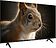 Телевизор Topdevice 43" SALUTE TV TDWC43BF4260V