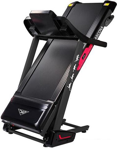 Электрическая беговая дорожка DFC Ascona T595