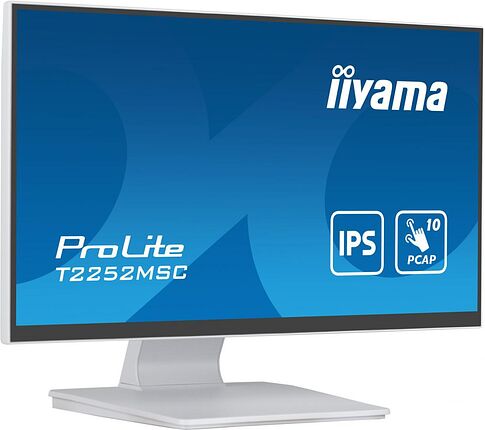 Монитор Iiyama ProLite T2252MSC-W2