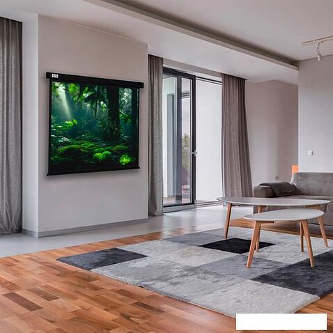 Проекционный экран CACTUS Wallscreen 213x213 CS-PSW-213X213-BK