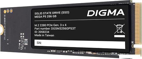 SSD Digma Mega P5 256GB DGSM3256GP53T