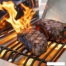 Газовый гриль для дачи Nexgrill Deluxe 720-0958HA