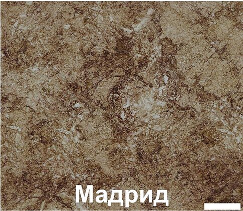 Кухня Кортекс-мебель Корнелия Лира 2.4м (капучино/оникс/мадрид)