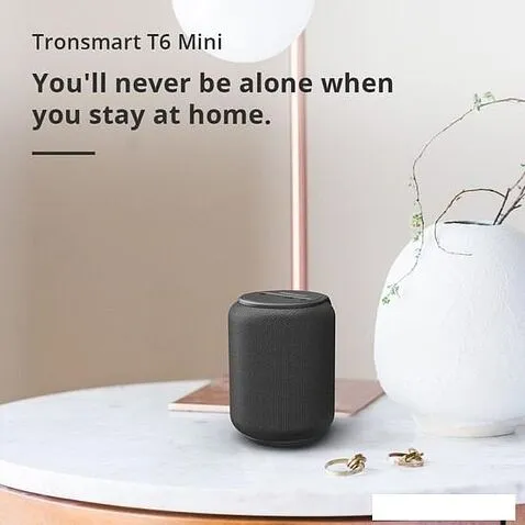 Беспроводная колонка Tronsmart T6 Mini (черный)
