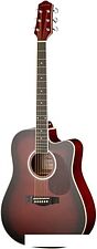 Акустическая гитара Naranda DG220CWRS
