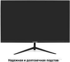 Монитор ExeGate ProSmart EZ2400 EX299031RUS
