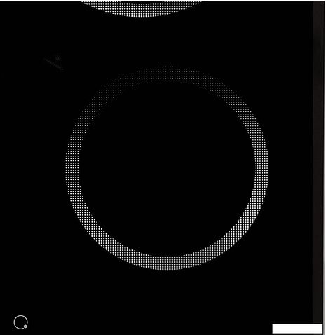 Варочная панель Krona Asten 60 BL