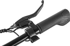 Электровелосипед MyWay Let 250 26 (бронзовый)