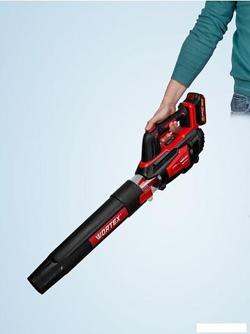 Ручная воздуходувка Wortex BB 2018 D ALL1 XLT Set 1333739 (с 1-им АКБ)