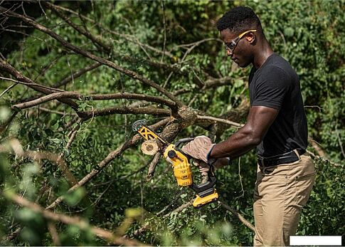 Аккумуляторная пила DeWalt DCMPS520P1 (с 1-им АКБ)