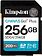 Карта памяти Kingston Canvas Go! Plus SDXC 256GB SDG4/256GB