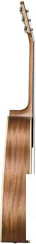 Акустическая гитара Baton Rouge X11S/SD-COB