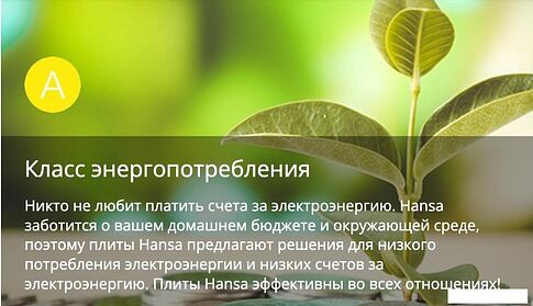 Кухонная плита Hansa FCMX58259