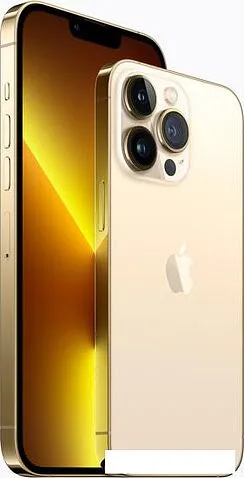 Смартфон Apple iPhone 13 Pro 256GB (золотой)