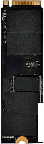 SSD Digma Pro Top P8 1TB DGPST4001TP8T7