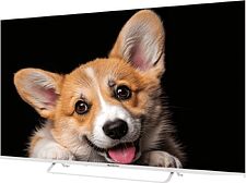 Телевизор Topdevice 50" SMART TV YаOS 03 (белый)