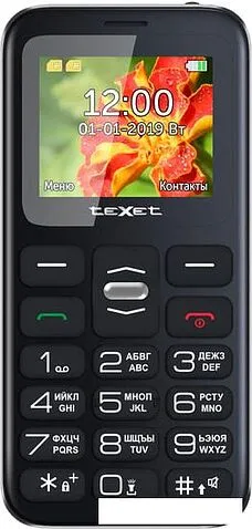 Мобильный телефон TeXet TM-B209 (черный)