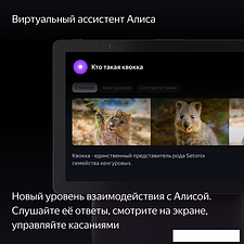 Колонка с умным дисплеем Яндекс Станция Дуо Макс (красный) Колонка с умным дисплеем Яндекс Станция Дуо Макс (красный)