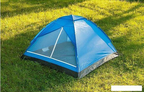 Треккинговая палатка Calviano Acamper Domepack 4 (синий)