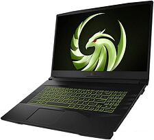 Игровой ноутбук MSI Alpha 17 B5EEK-040XRU