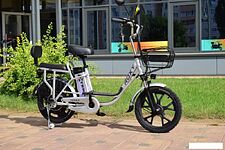 Электровелосипед Terax ROXY NS010