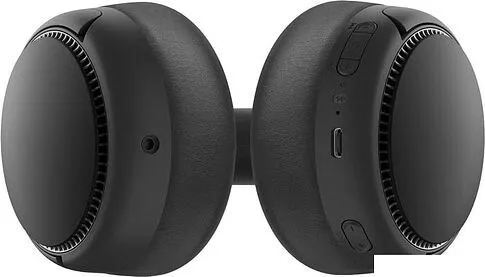 Наушники Panasonic RB-M500BGE-K