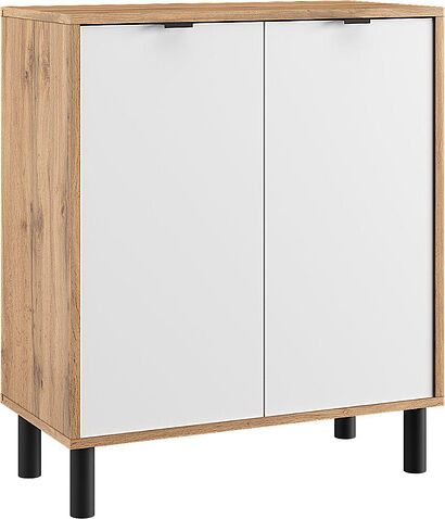 Тумба ЭлиГард Mone 2D (дуб вотан/белый)