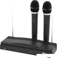 Микрофон Ritmix RWM-210