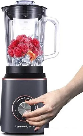 Стационарный блендер Zigmund & Shtain BS-442D