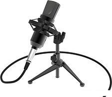 Микрофон Ritmix RDM-160