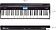 Цифровое пианино Roland Go:Piano GO-61P