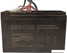 Аккумуляторный опрыскиватель Berger BG1993