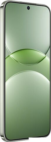 Смартфон Huawei nova 13 BLK-LX9 12GB/256GB (дымчатый зеленый)