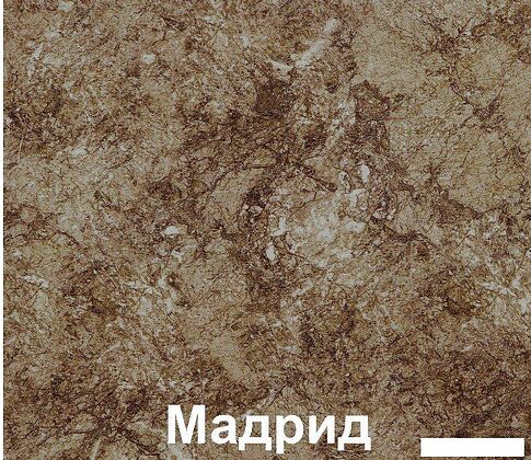 Готовая кухня Кортекс-мебель Корнелия Лира 1.5x1.9 (дуб сонома/венге/мадрид)
