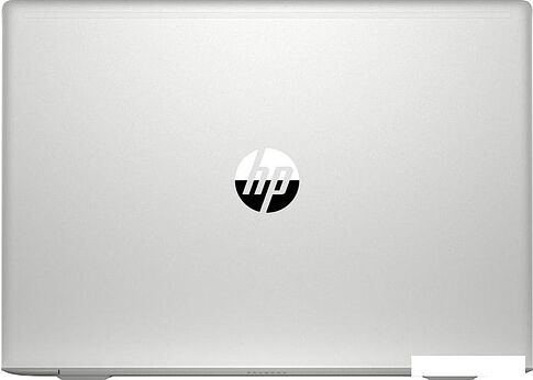 Ноутбук HP ProBook 455 G7 1L3U0EA